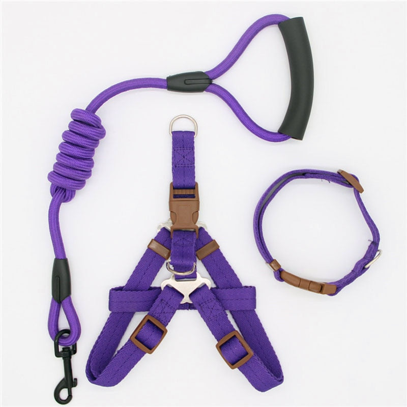 Leash Running Or Training Dog Collar - My Store