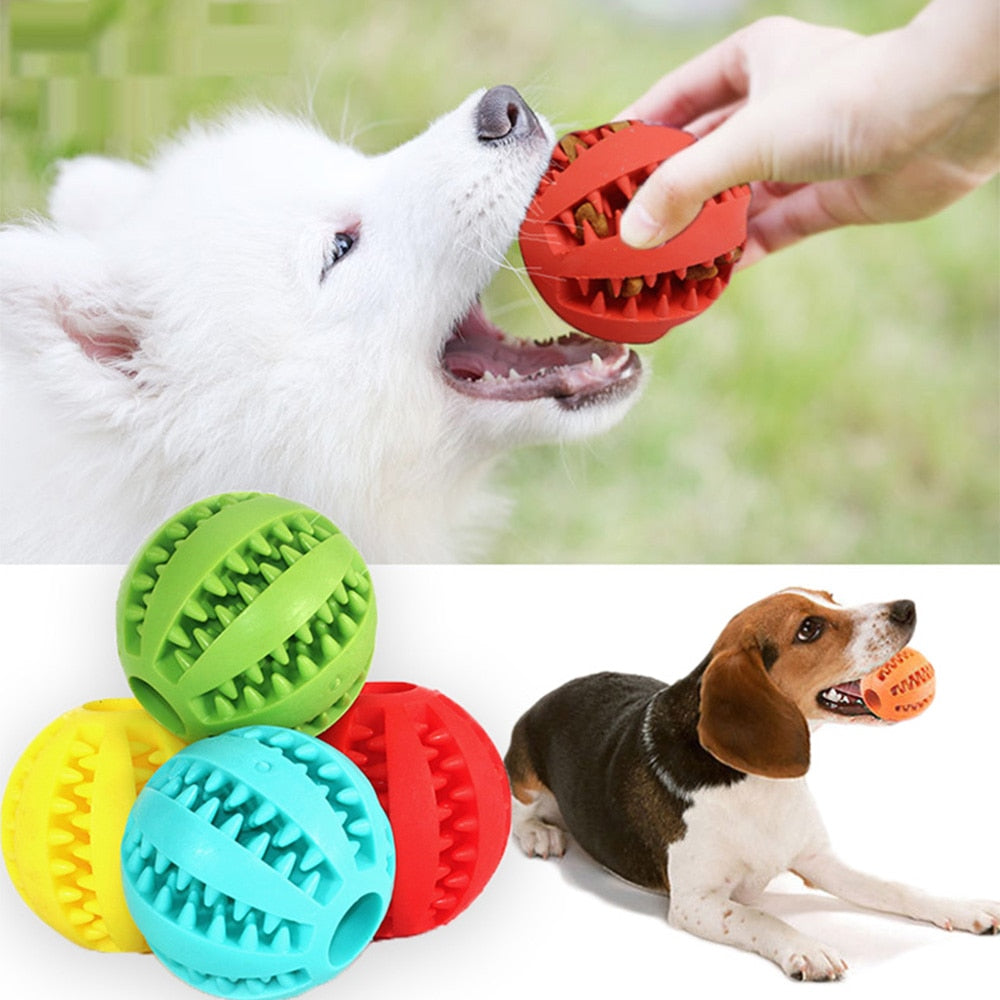 Interactive Rubber Balls Chewing Toys - My Store