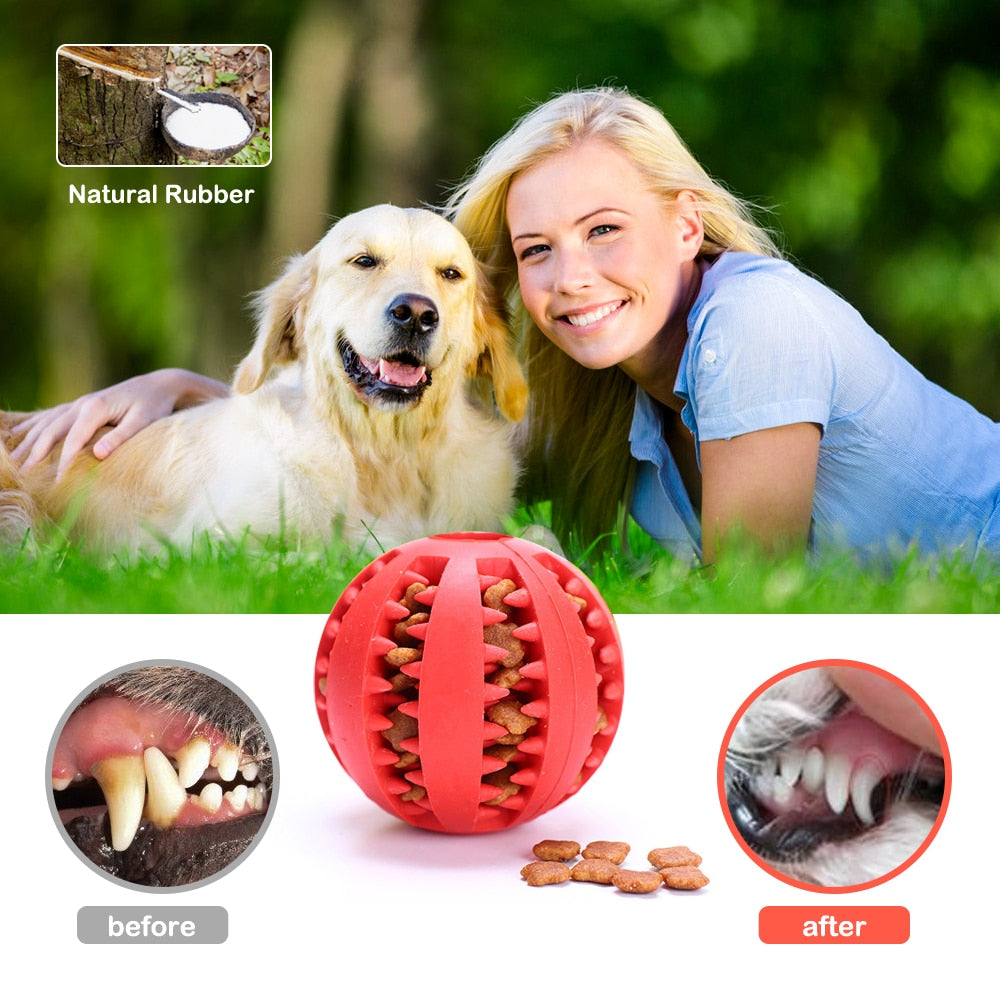 Interactive Rubber Balls Chewing Toys - My Store